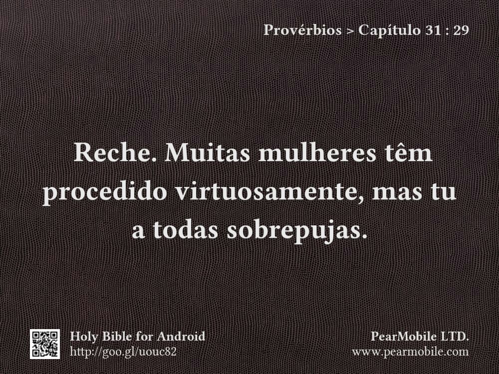 Provérbios, Capítulo 31:29